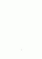 신도시 도시시설의 공급특성에 관한 연구 51페이지