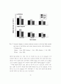 수경 상추와 미나리의 체내 NO3- 함량 저하 및 질소동화계 효소의 활성에 관한 연구 40페이지