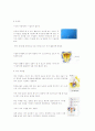 피임법 요약 정리 4페이지