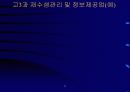 e-business 성공전략 12페이지