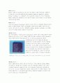 마이크로 프로세서의 역사 (CPU) 2페이지