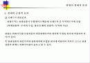 관광의 경제적 효과 7페이지
