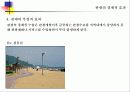 관광의 경제적 효과 13페이지