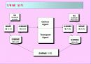 PKI(Public Key Infrastructure) 15페이지