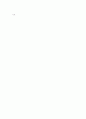 운석의 일반자료 4페이지