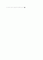 서울시의 공원녹지 확충 전략 4페이지
