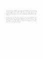 벤처기업의 마케팅전략 4페이지