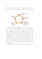 가상기업 환경에 대비한 중소기업의 대응방안 연구 9페이지