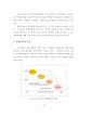 가상기업 환경에 대비한 중소기업의 대응방안 연구 30페이지