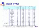 인터넷 광고 효과 측정(인터넷광고) 13페이지