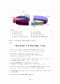 한국기업의 지식경영 현황 조사결과 ( CKO ) 11페이지