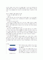 생과일 아이스크림 전문점 11페이지