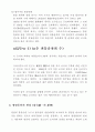 경찰조직편성의 원리 11페이지