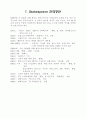 Shakespeare의 이해 (-배경과 언어,국내연구를 중심으로-) 12페이지