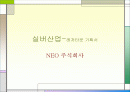 실버산업-레저타운 기획서 1페이지
