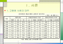 실버산업-레저타운 기획서 2페이지