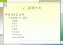 실버산업-레저타운 기획서 14페이지
