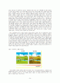 [환경]오존층과 산성비 24페이지
