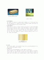 단열재[heat insulating material, 斷熱材]  3페이지