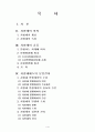 지방채 [municipal bond/local debt, 地方債] 보고서 2페이지