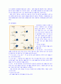 전통놀이 7페이지