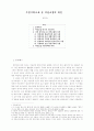 시점시학으로 본 여성소설의 특징 1페이지