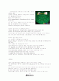 카지노 사업 경영 12페이지