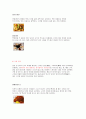 중국 테이블 세팅 18페이지