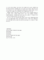 e-book에 관한 보고 21페이지