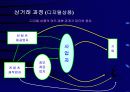 전자상거래 현황과 추진사례 9페이지