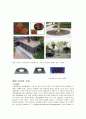 수목의 종류와 조경에서의 수목의 쓰임 환경보호와 수목 수목의 관리에관한 레포트 4페이지