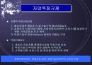 미국통신산업의 독점규제와 경쟁도입 3페이지