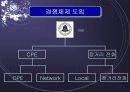 미국통신산업의 독점규제와 경쟁도입 4페이지