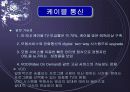 미국통신산업의 독점규제와 경쟁도입 14페이지