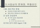 [스포츠 마케팅] 스포츠 에이전트 27페이지