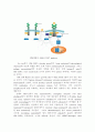 GM-CSF Signaling Pathways and Anti-apoptotic Activ 2페이지