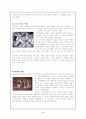디자인사에 대해서 (디자인의 역사) 5페이지