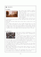 디자인사에 대해서 (디자인의 역사) 10페이지