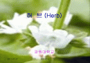 허브(프리젠테이션) 1페이지
