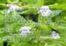 허브(프리젠테이션) 4페이지