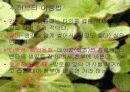 허브(프리젠테이션) 7페이지