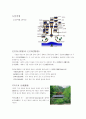 [우리나라 전통건축] 도산서원 1페이지