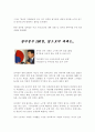노무현정권의 백일상... ( 참여정권 실패와 과제 ) 5페이지