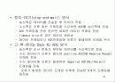 4 네트워크 구조 20페이지