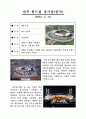 2002년 한일월드컵경기장 10페이지
