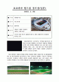 2002년 한일월드컵경기장 12페이지