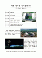 2002년 한일월드컵경기장 14페이지