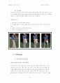 골프에 대하여 완벽! 19페이지