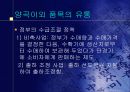 `농산물 유통 정책과 정부기능` 10페이지