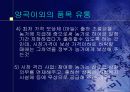 `농산물 유통 정책과 정부기능` 12페이지
